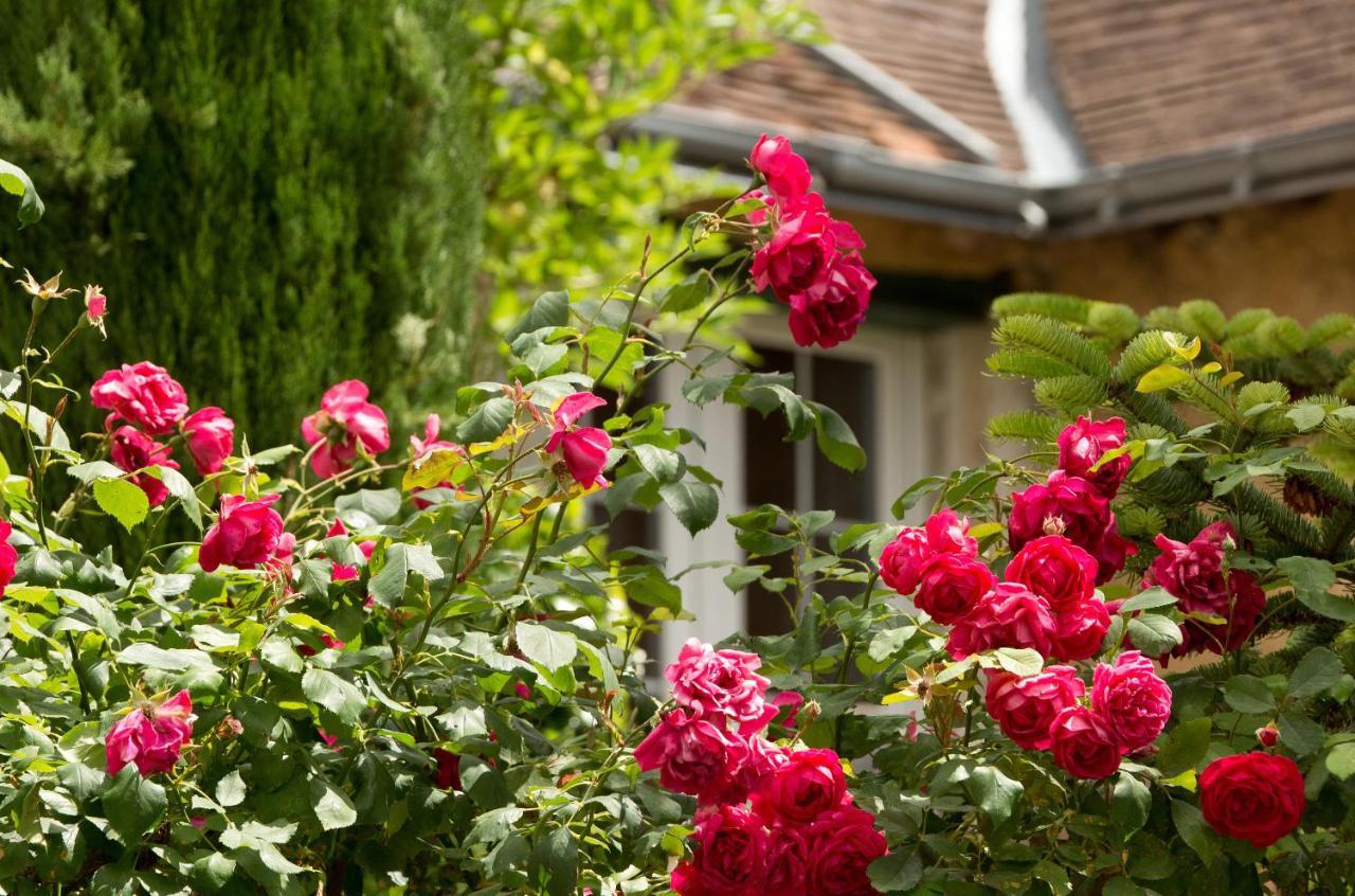 Hotel La Roseraie Chenonceaux Ngoại thất bức ảnh